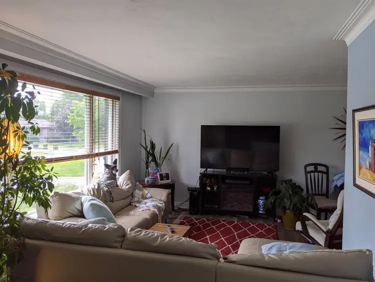 New Listing Housemate!