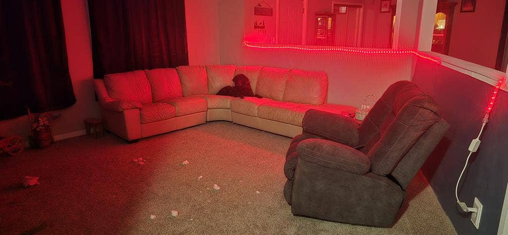 Room for rent seek female renter