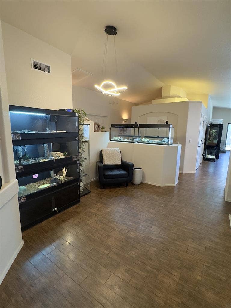 ROOM FOR RENT MARANA