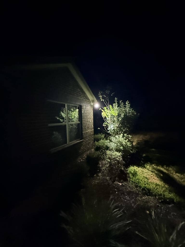 Looking for roommate in
 Magnolia