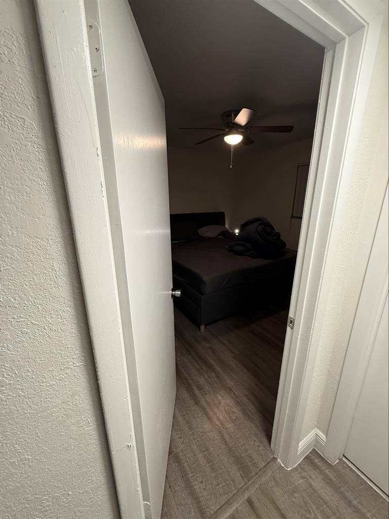 Looking For Rent and A Roommate