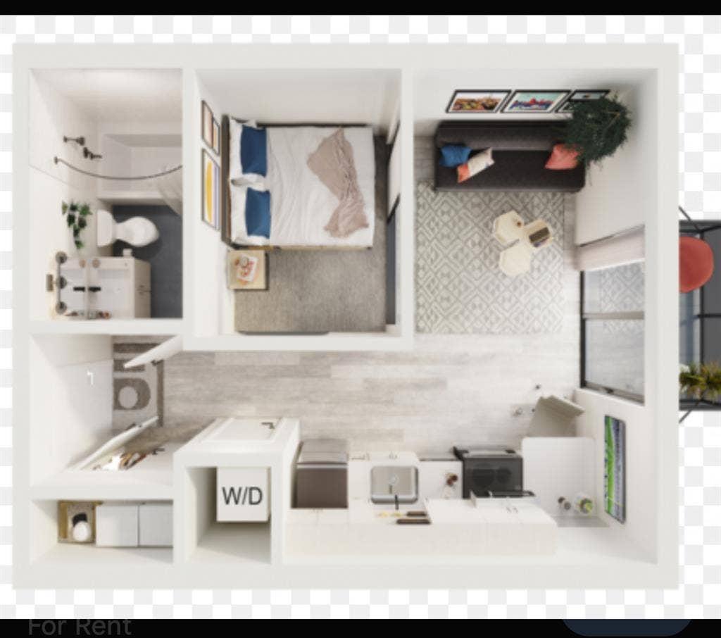 Beautiful 1 BR, walkable to campus