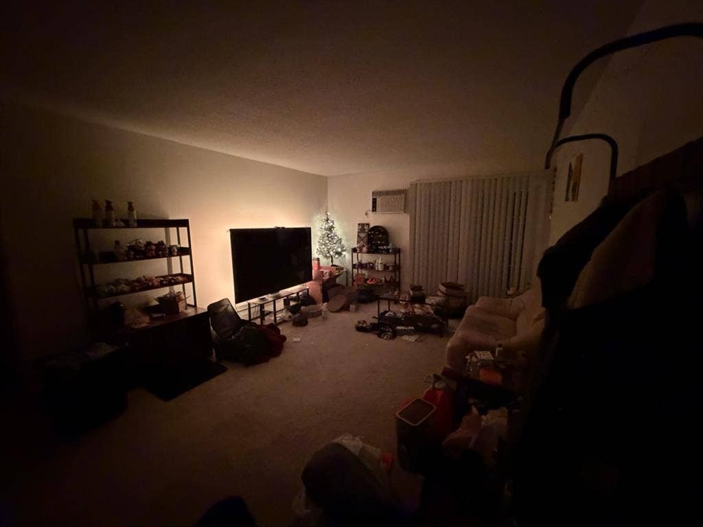 Looking for a roommate