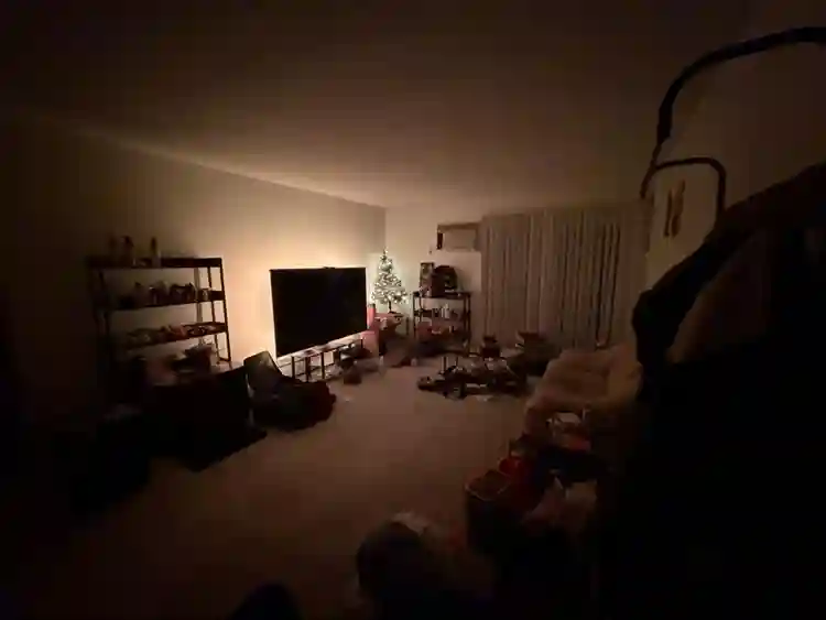 Looking for a roommate