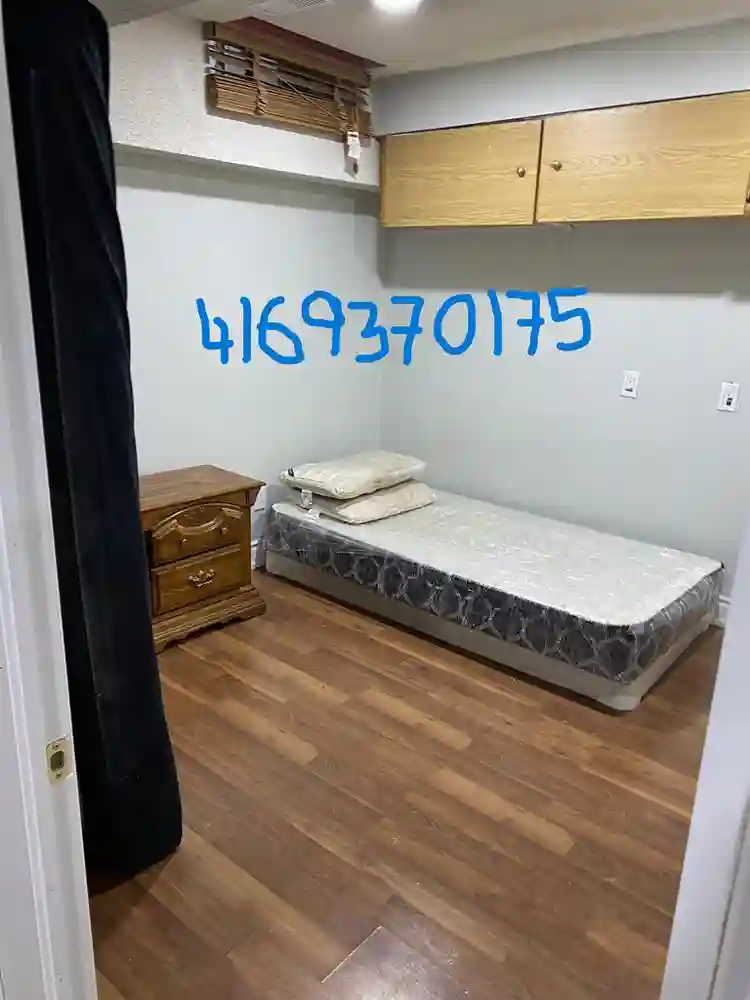 1 bhk rental basement in Brampton