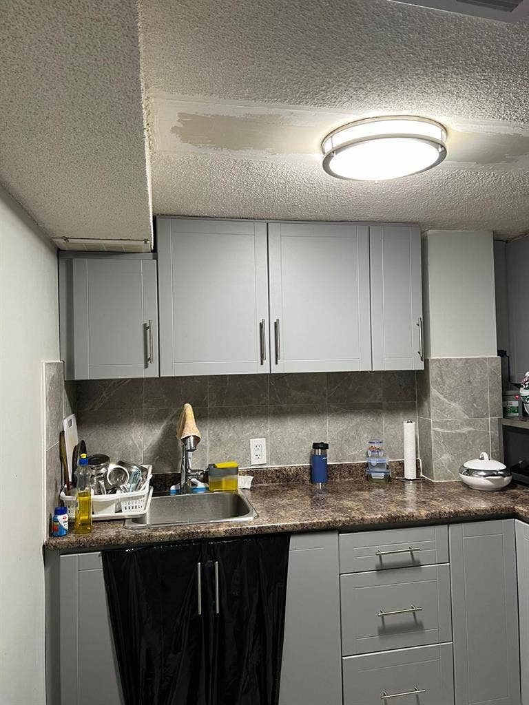 1 bhk rental basement in Brampton