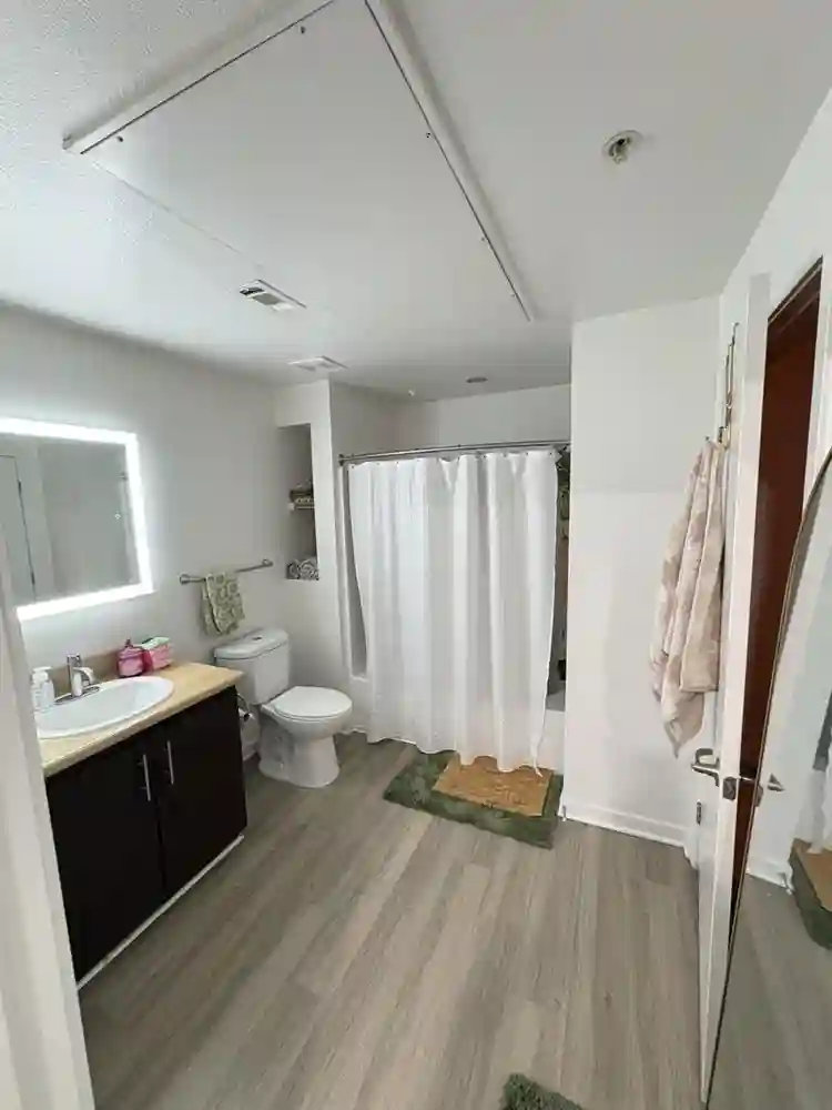 NEED ROOMMATE JANUARY