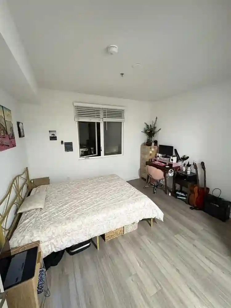 NEED ROOMMATE JANUARY