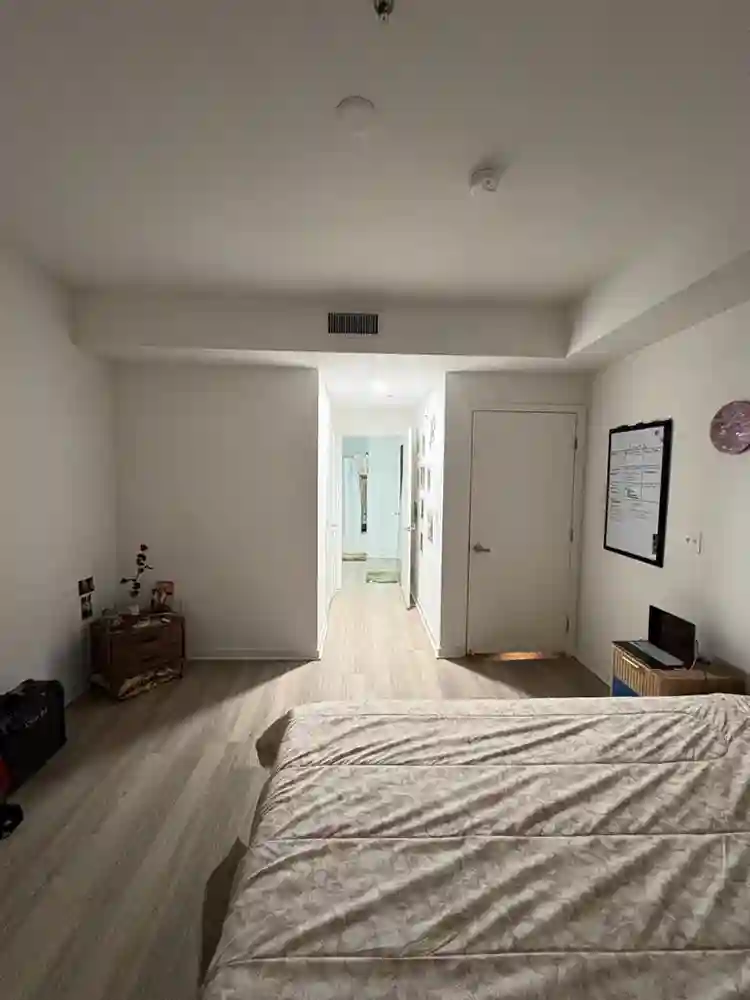 NEED ROOMMATE JANUARY