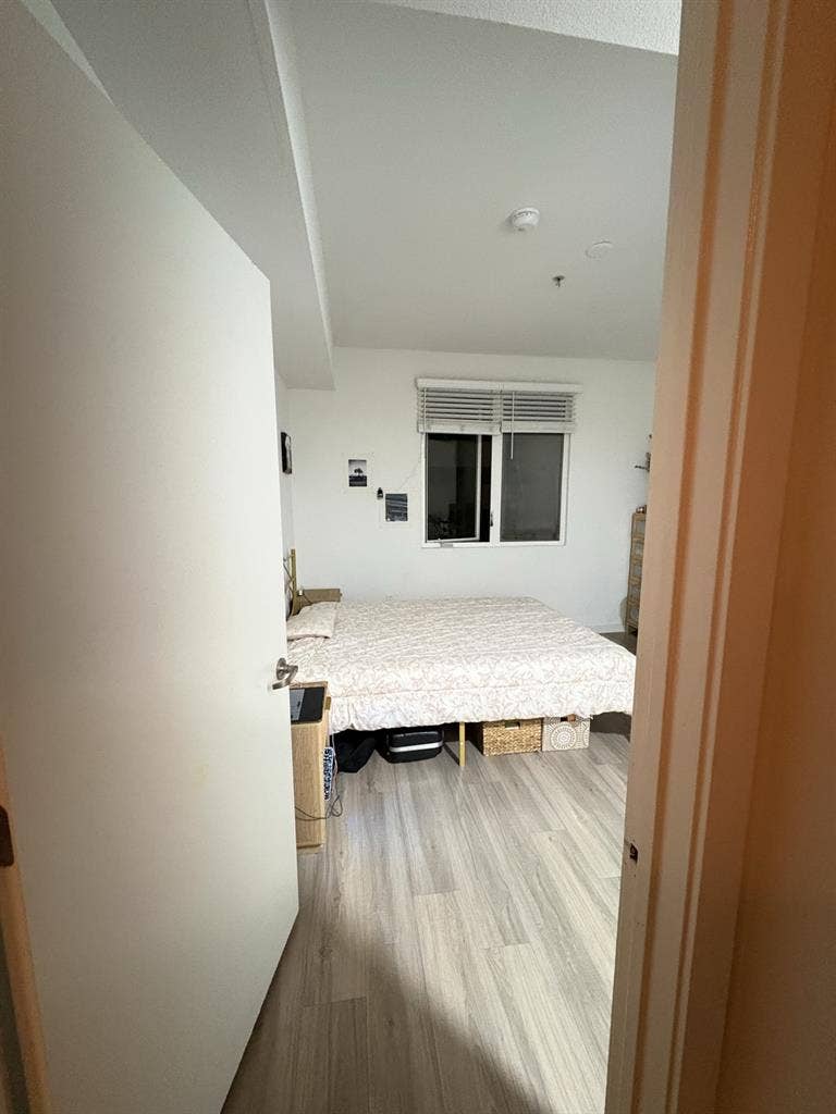 NEED ROOMMATE JANUARY