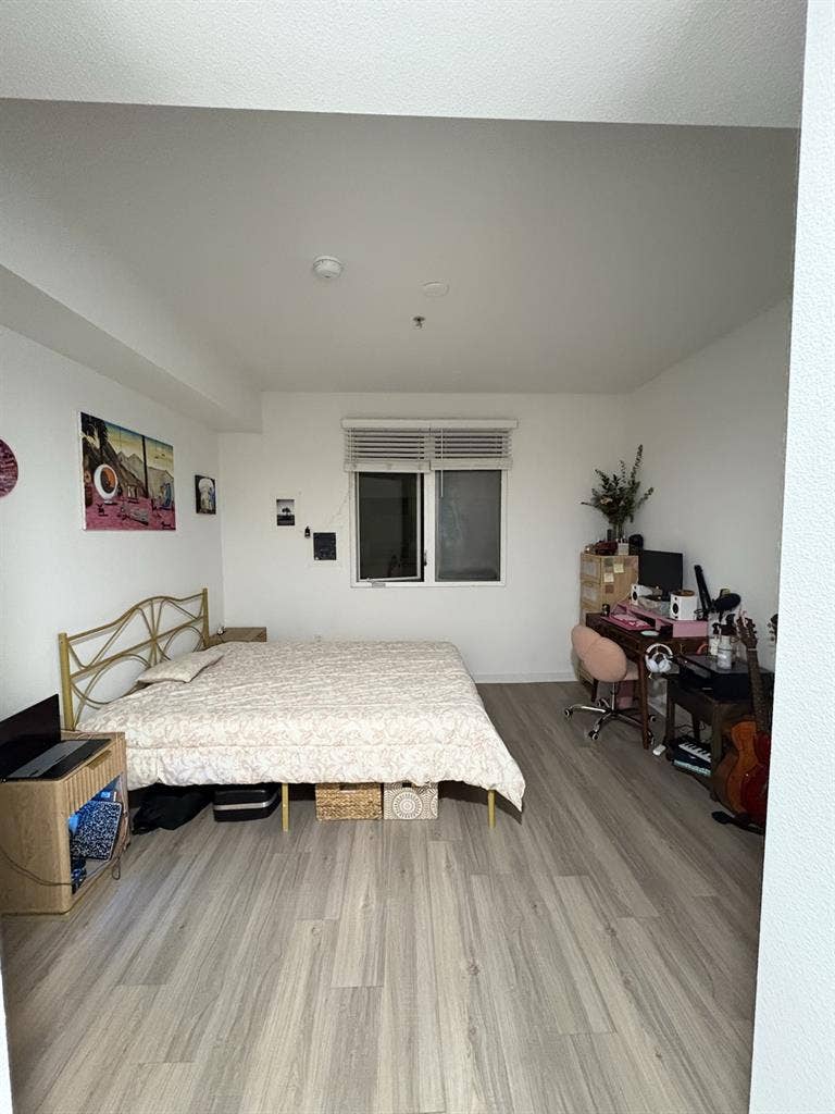NEED ROOMMATE JANUARY