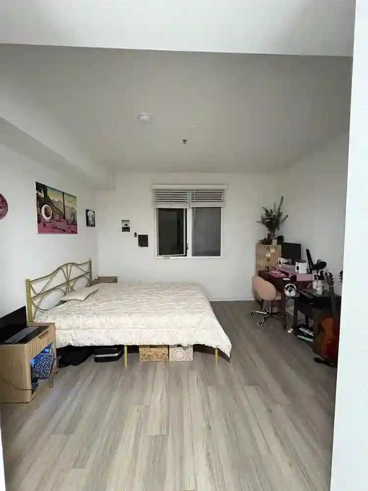 NEED ROOMMATE JANUARY