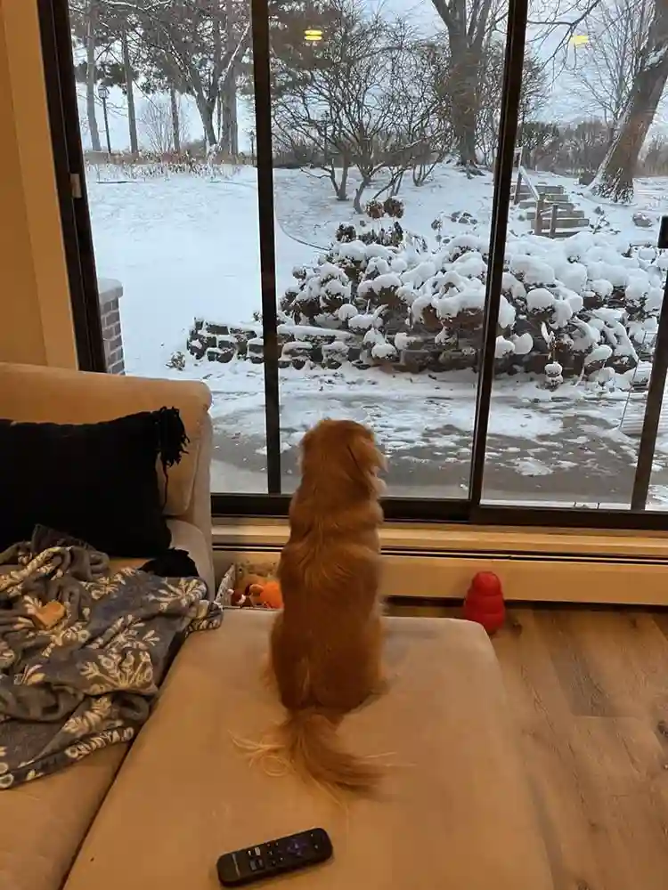 Female roommate to rent spare room