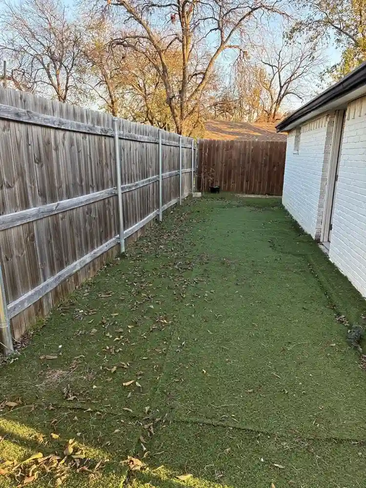 Creator House - Female Roommates