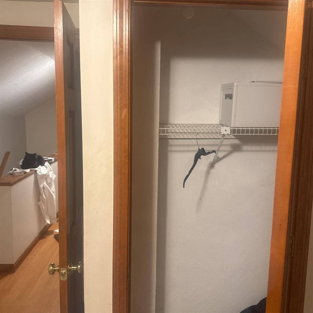 Beautiful room for rent