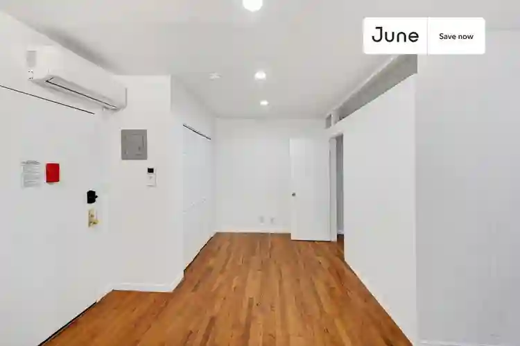 1 BR in New York City