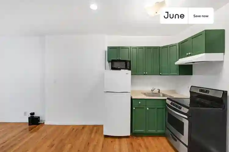 1 BR in New York City