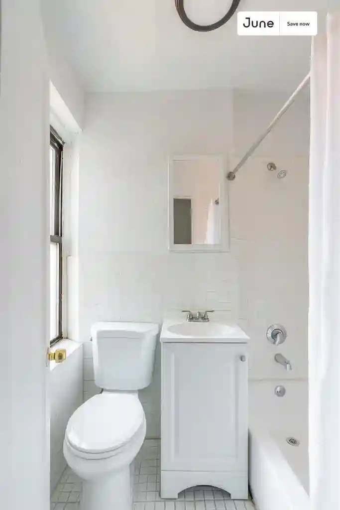 1 BR in New York City