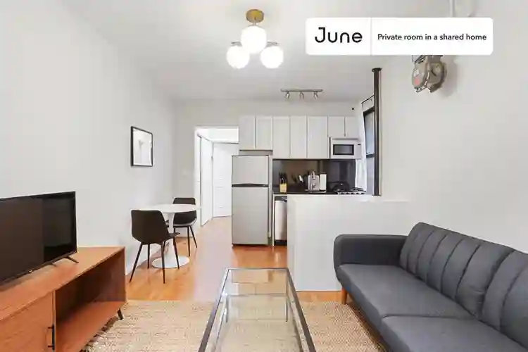 2 BR in New York City