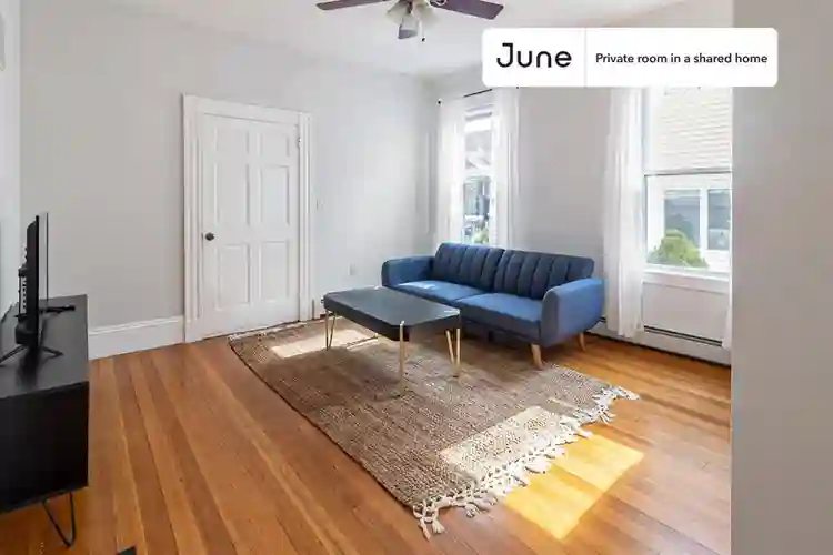 3 BR in Boston