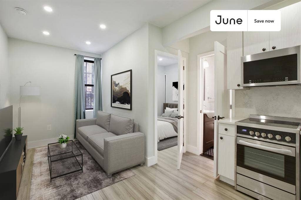 1 BR in New York City