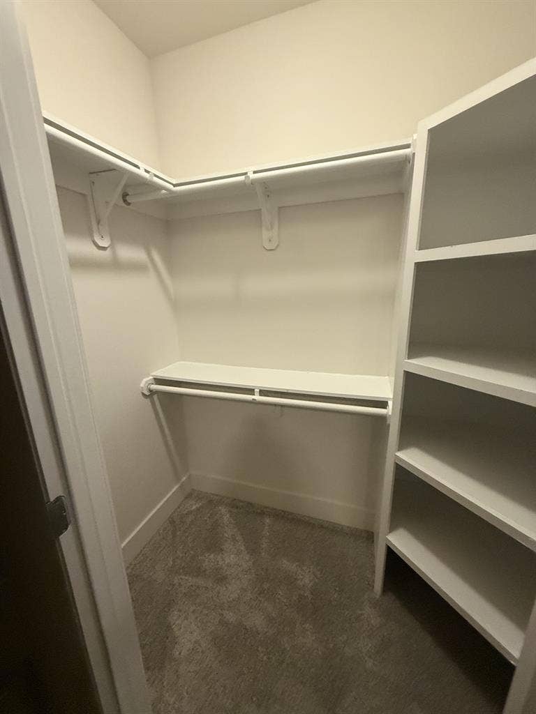 Room in a spacious apartment