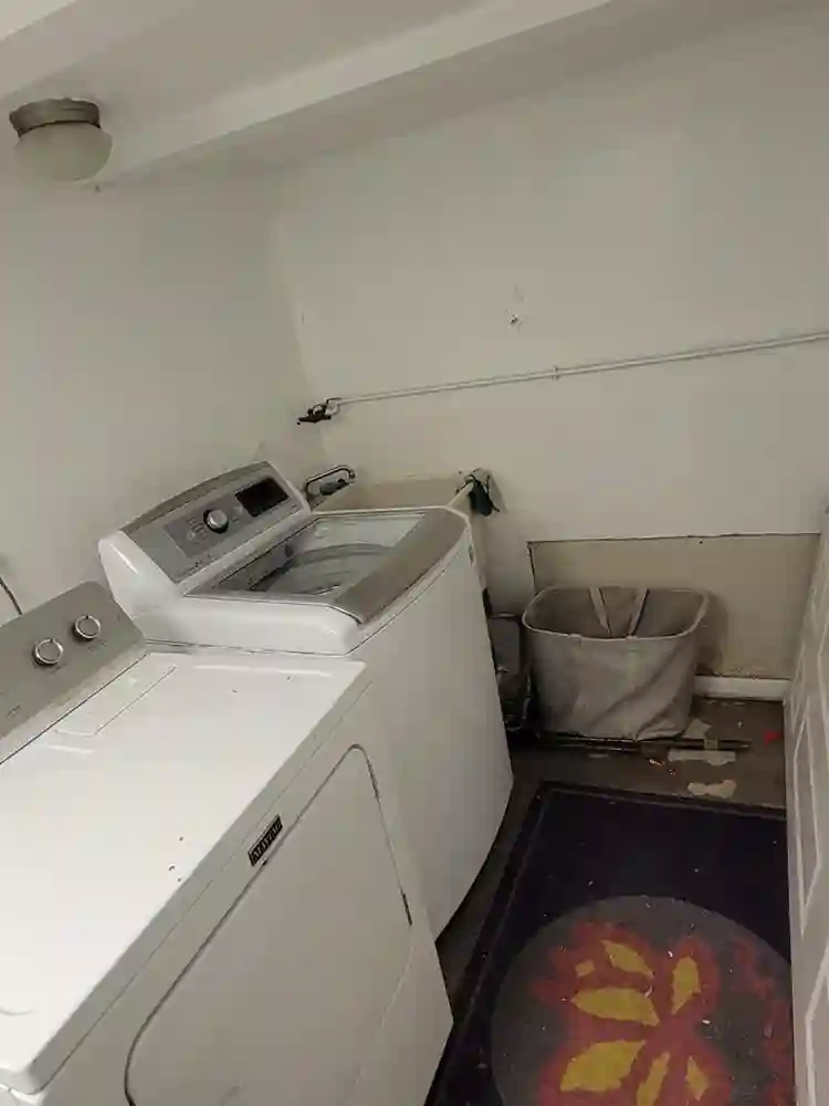 Beautiful room, available January 1