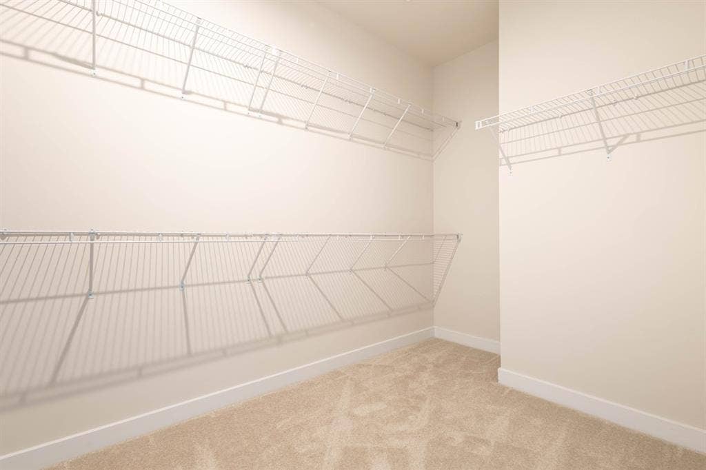 Roommate needed for Master Room.