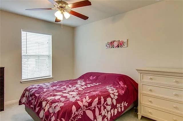 4 BR in Austin