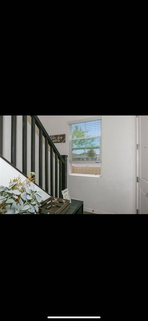 Business professional