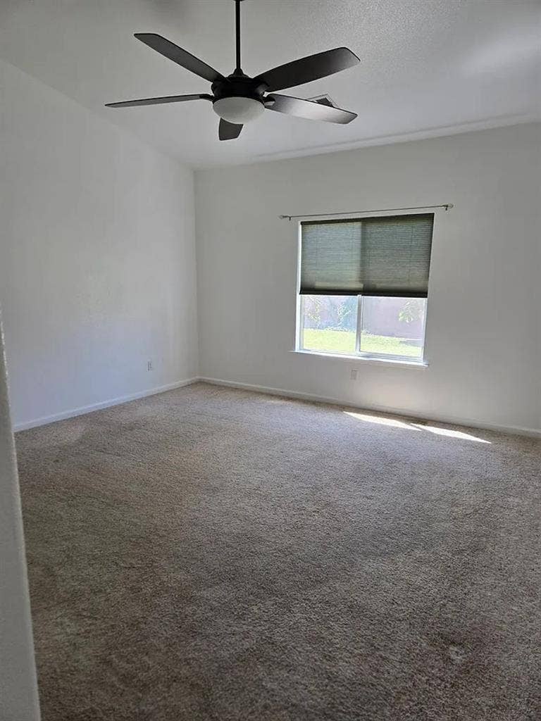 Master Room with Bathroomm