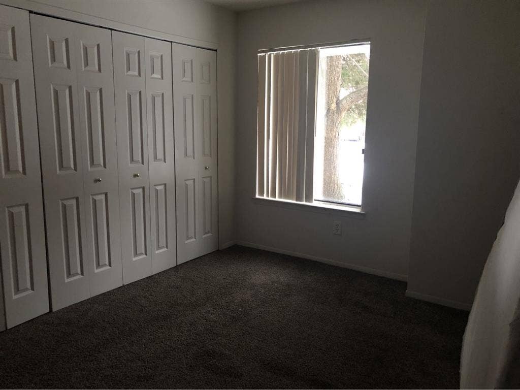 Looking for a roommate