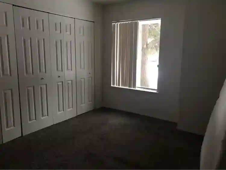 Looking for a roommate