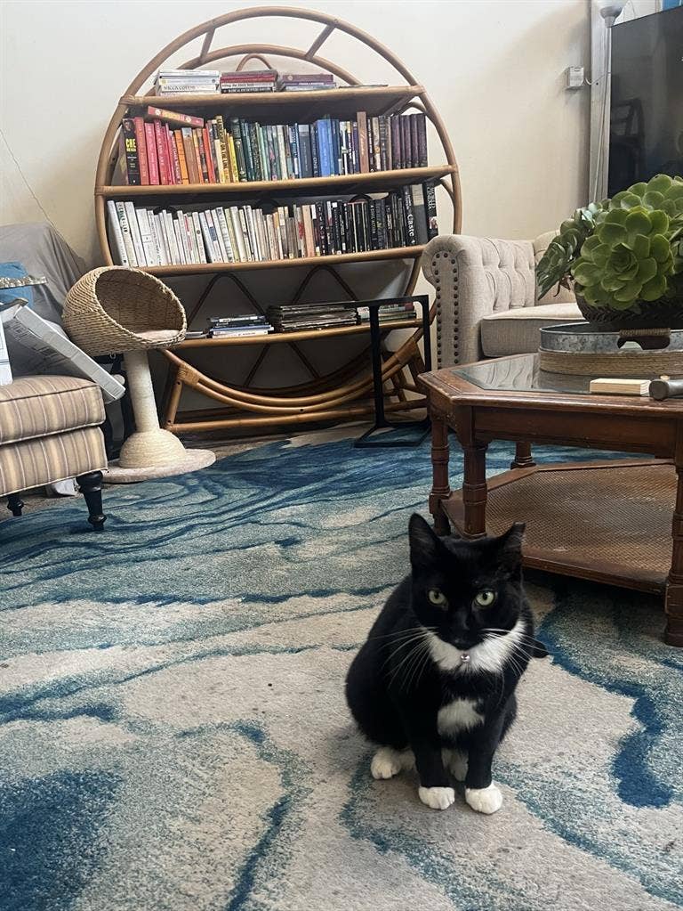 $ Industrial Warehouse