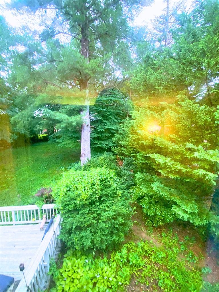 Renting one Bedroom - BIG Home