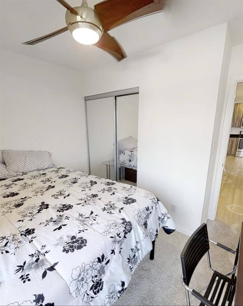 Spring  Subletter needed!