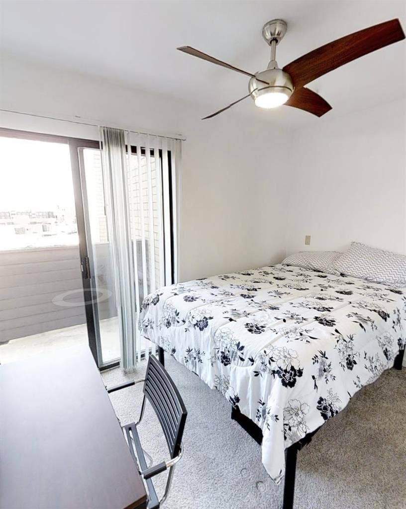 Spring  Subletter needed!