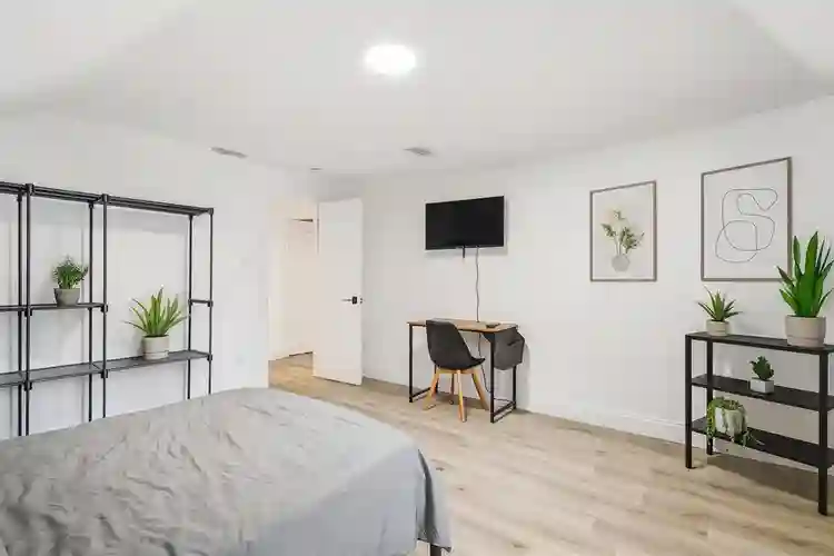 12 BR in St. Petersburg