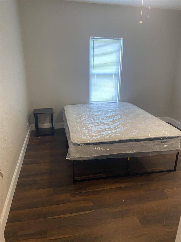 7 BR in Tampa