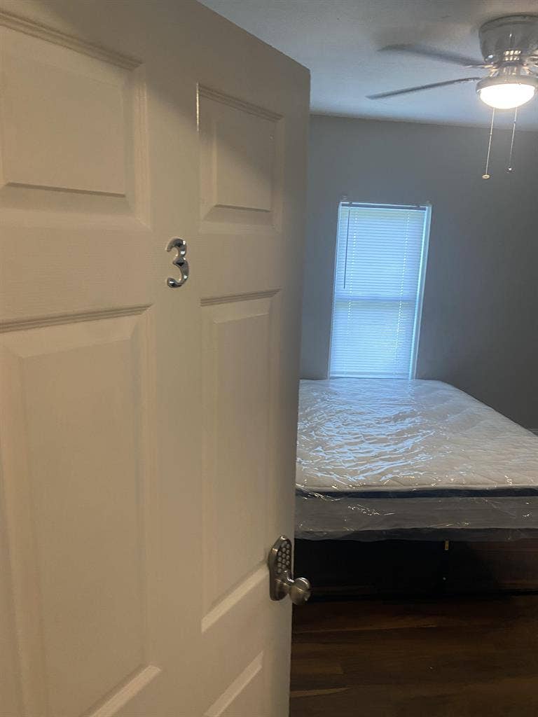 7 BR in Tampa