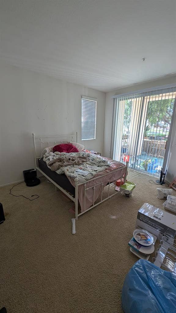 Roommate needed by Jan th!