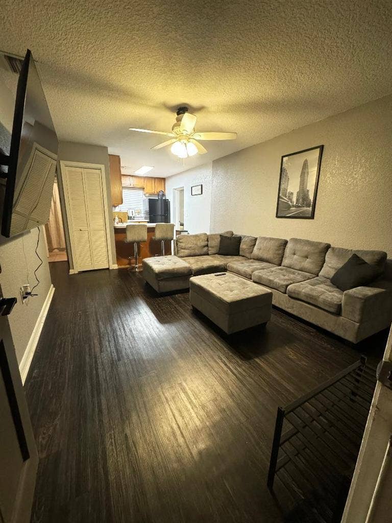 3 BR in Tampa