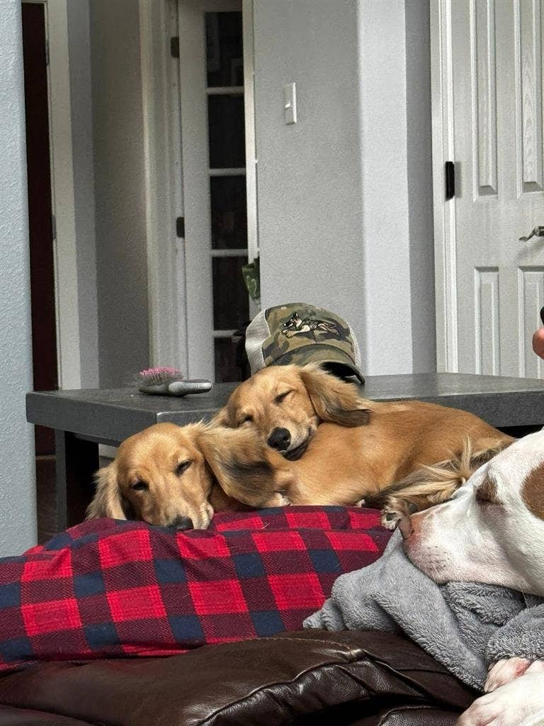 Looking for male/female roommate!