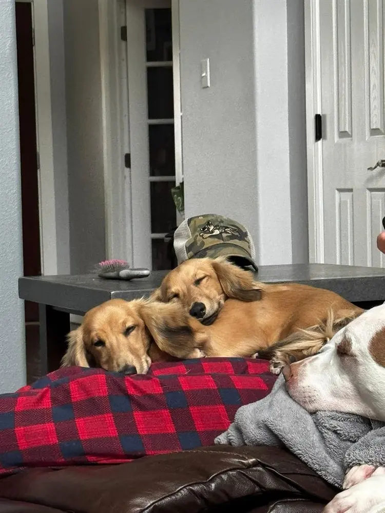 Looking for male/female roommate!