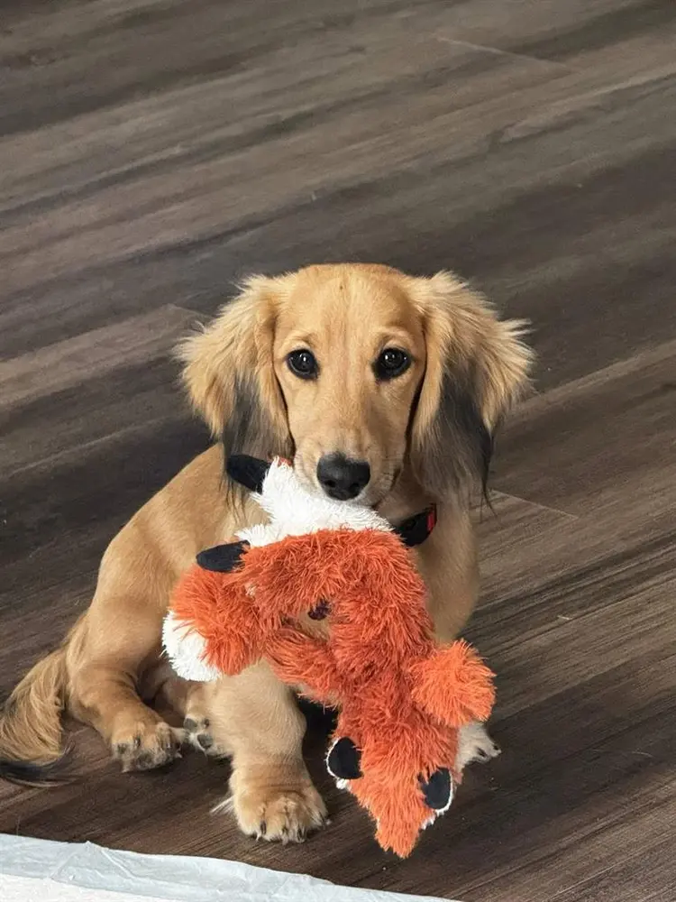 Looking for male/female roommate!