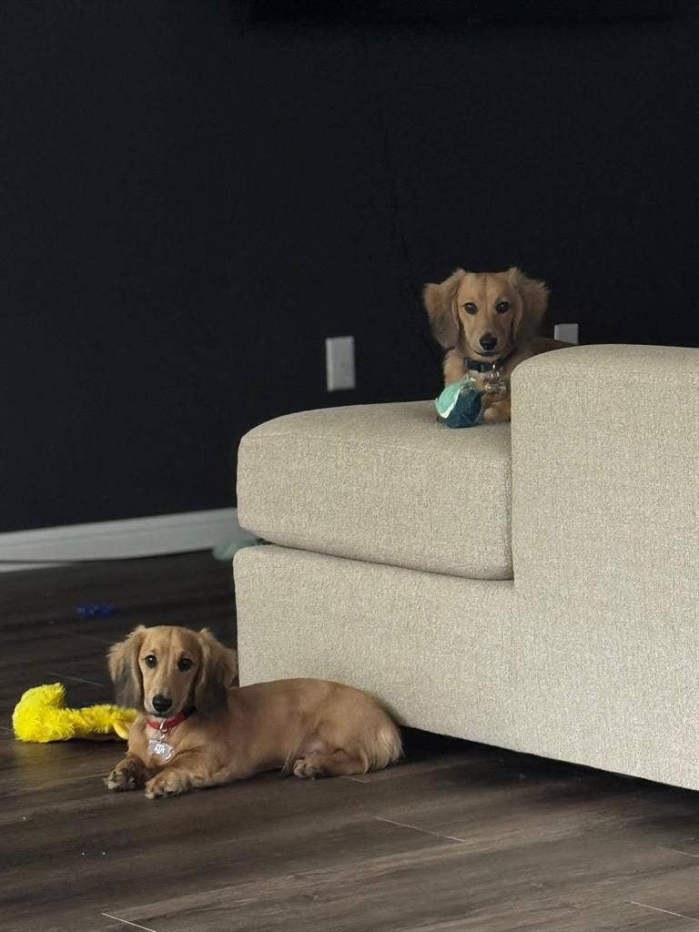 Looking for male/female roommate!