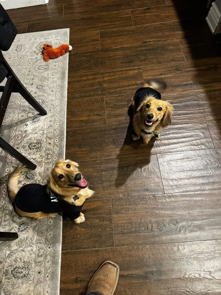 Looking for male/female roommate!