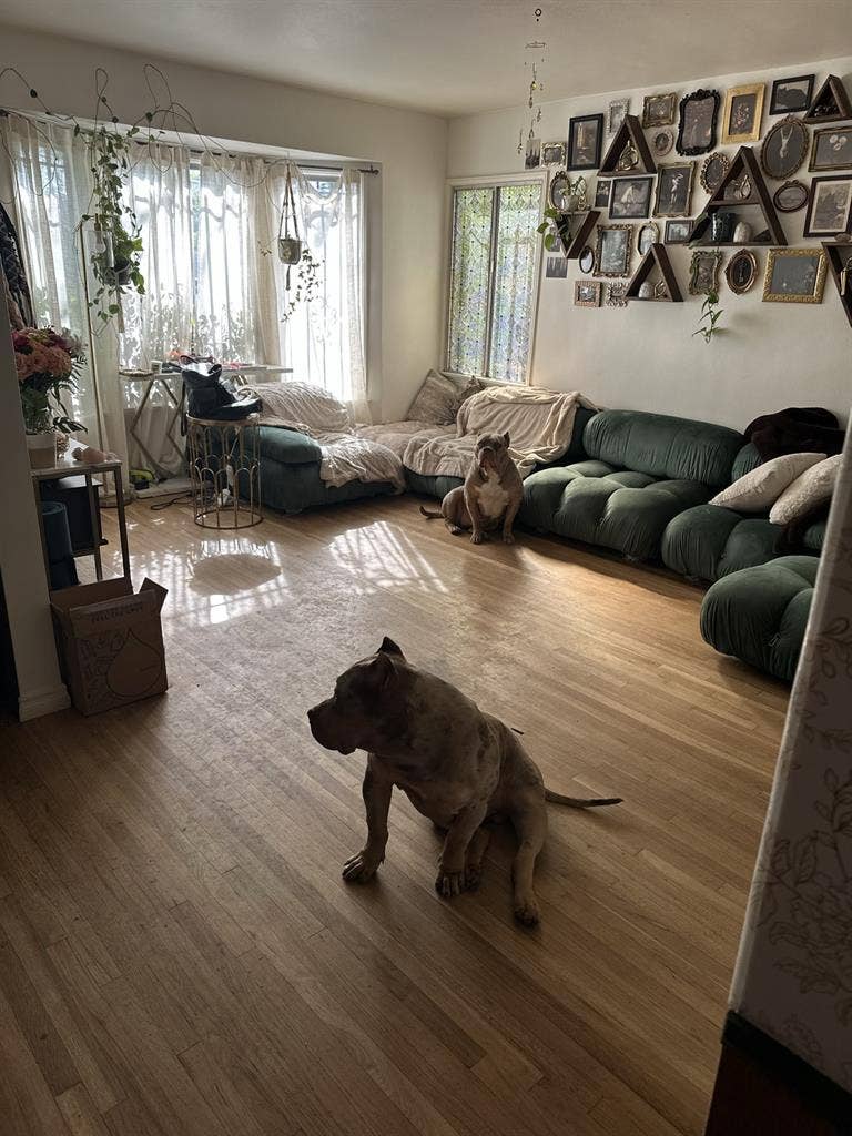 Furnished room for rent.