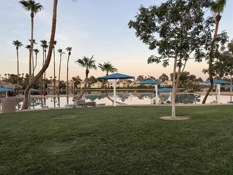 Chill Desert Shores Room