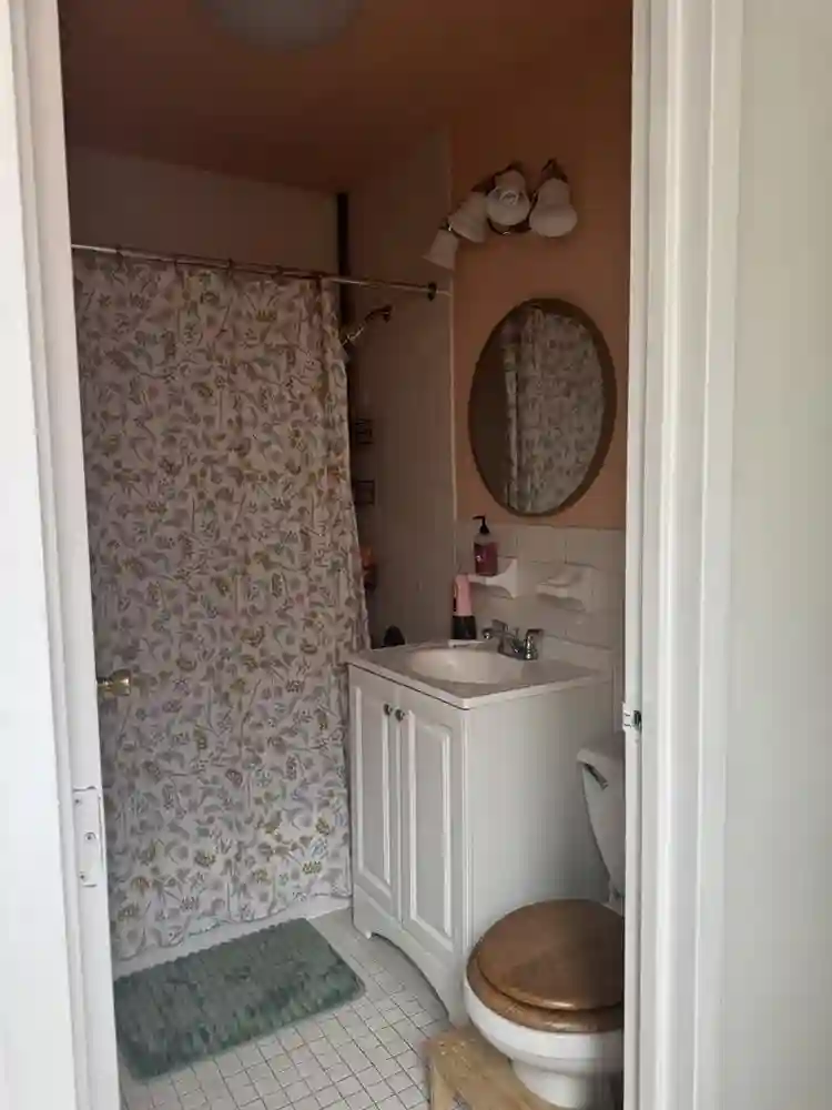 Large room for rent in peaceful Apt